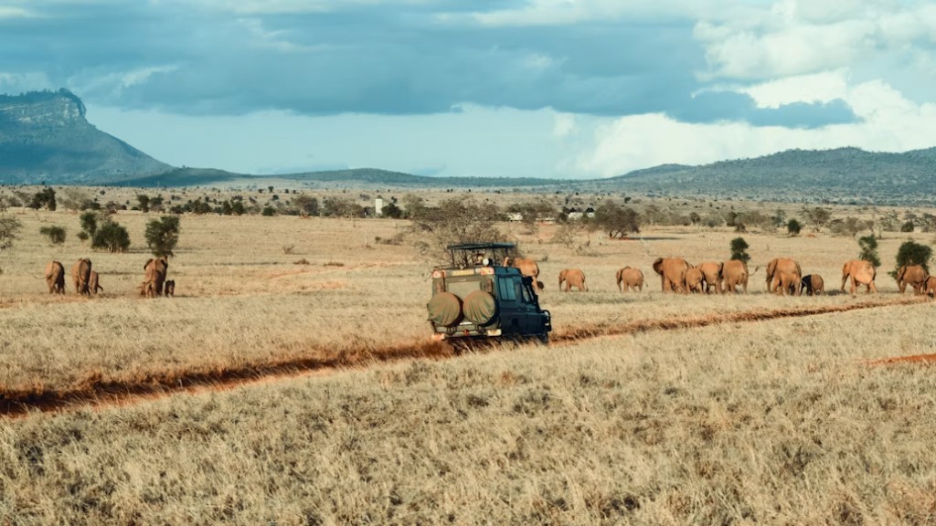 Safari vehicle approaching an elephant herd on the Tanzanian plains