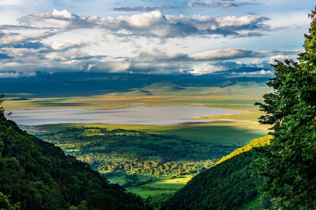Panoramic view across the Ngorongoro Crater