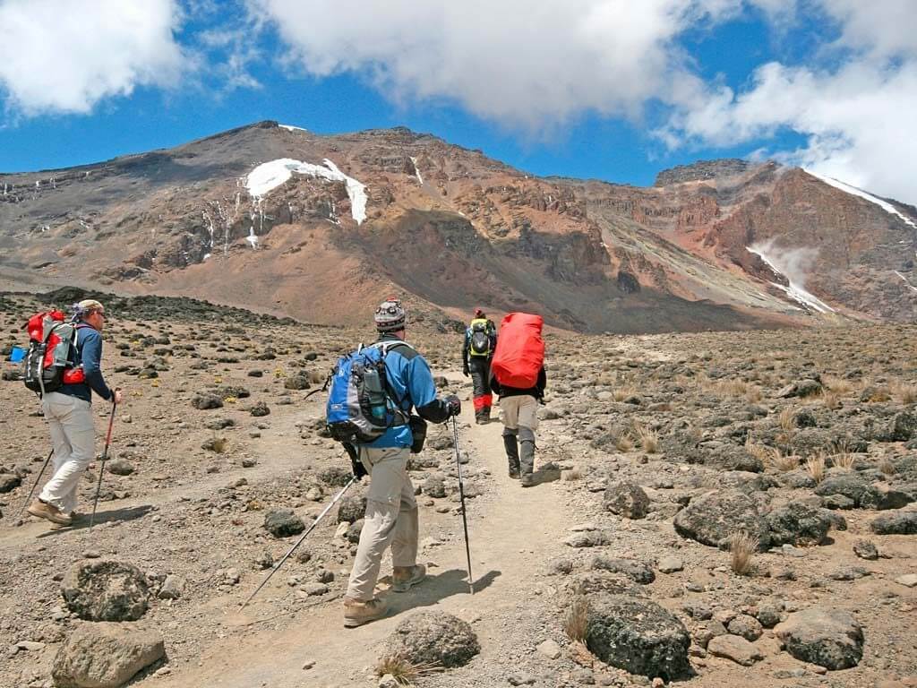 Trekkers ascending the Machame Route trail on Mount Kilimanjaro