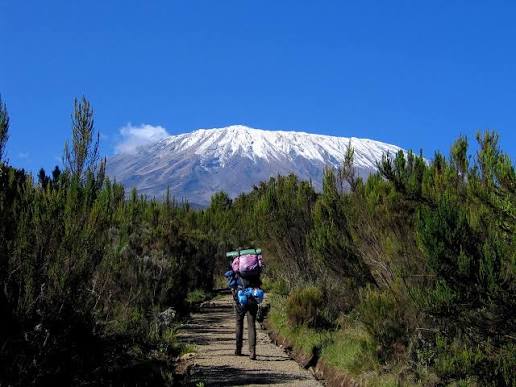 Hikers on the rocky Marangu Route with Kilimanjaro's glaciers in the background