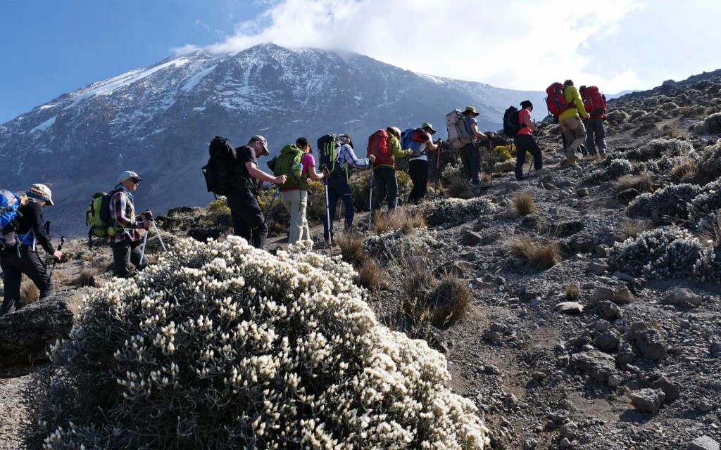 Challenging Umbwe Route trail